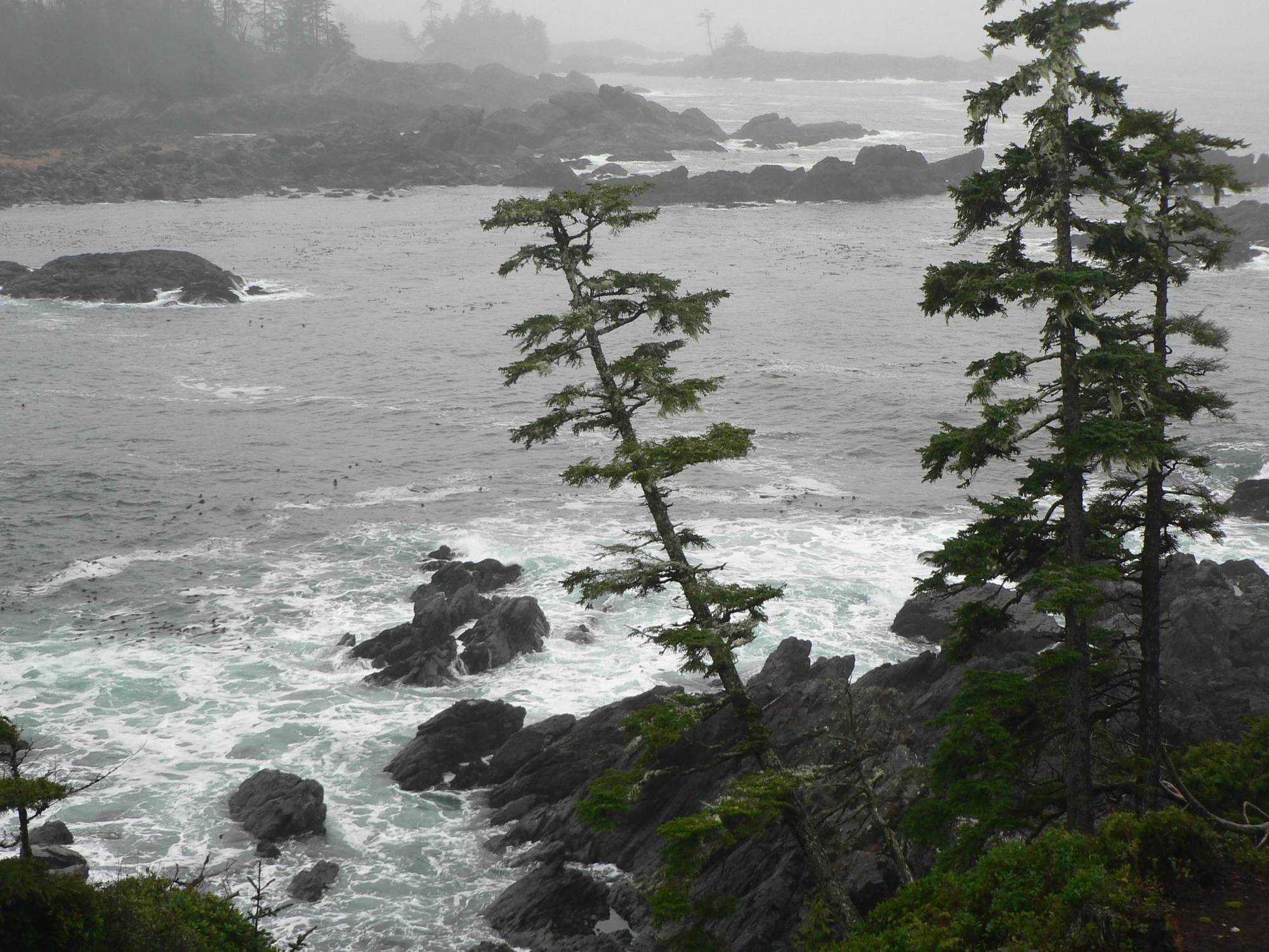 Black Rock Oceanfront Resort Ucluelet Extérieur photo